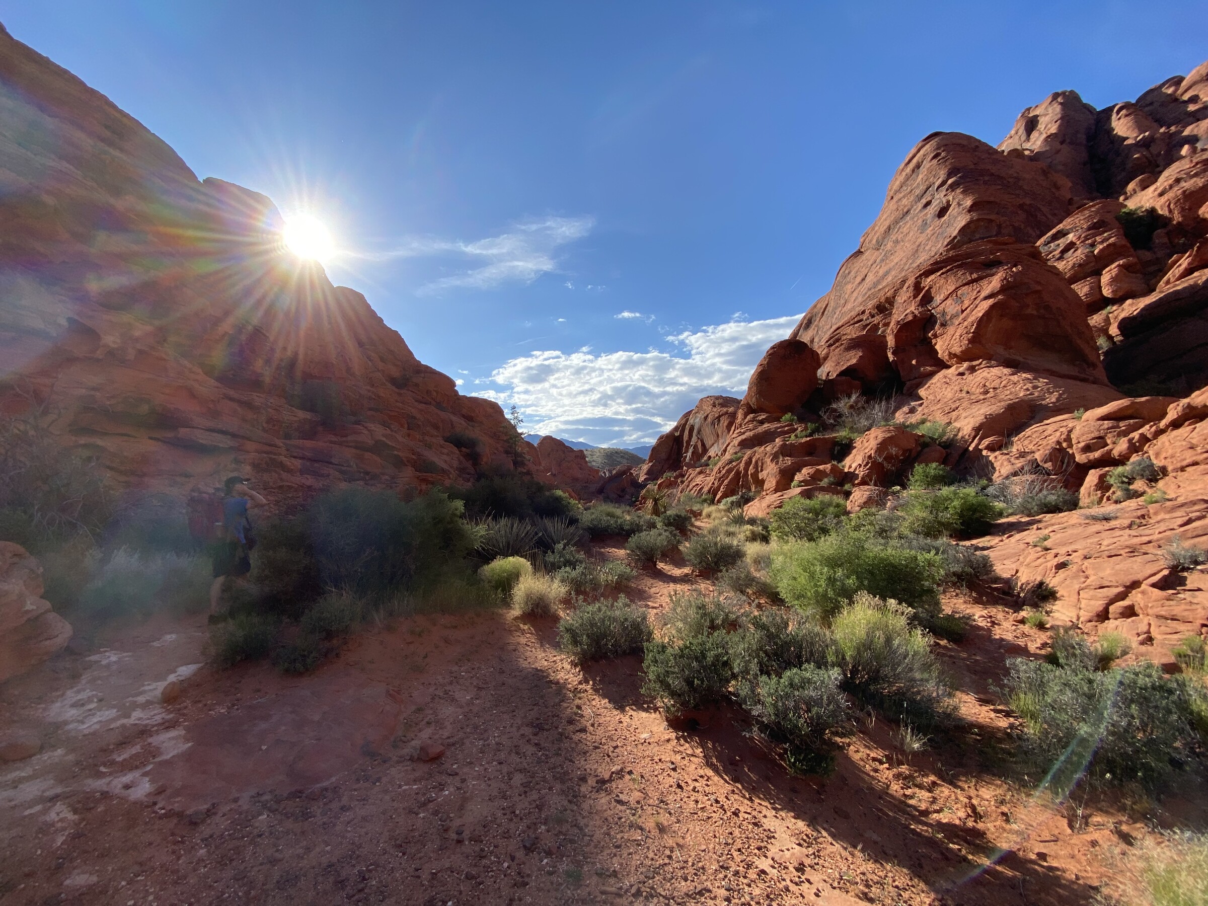 Red Rock Canyon National Conservation Area, Nevada