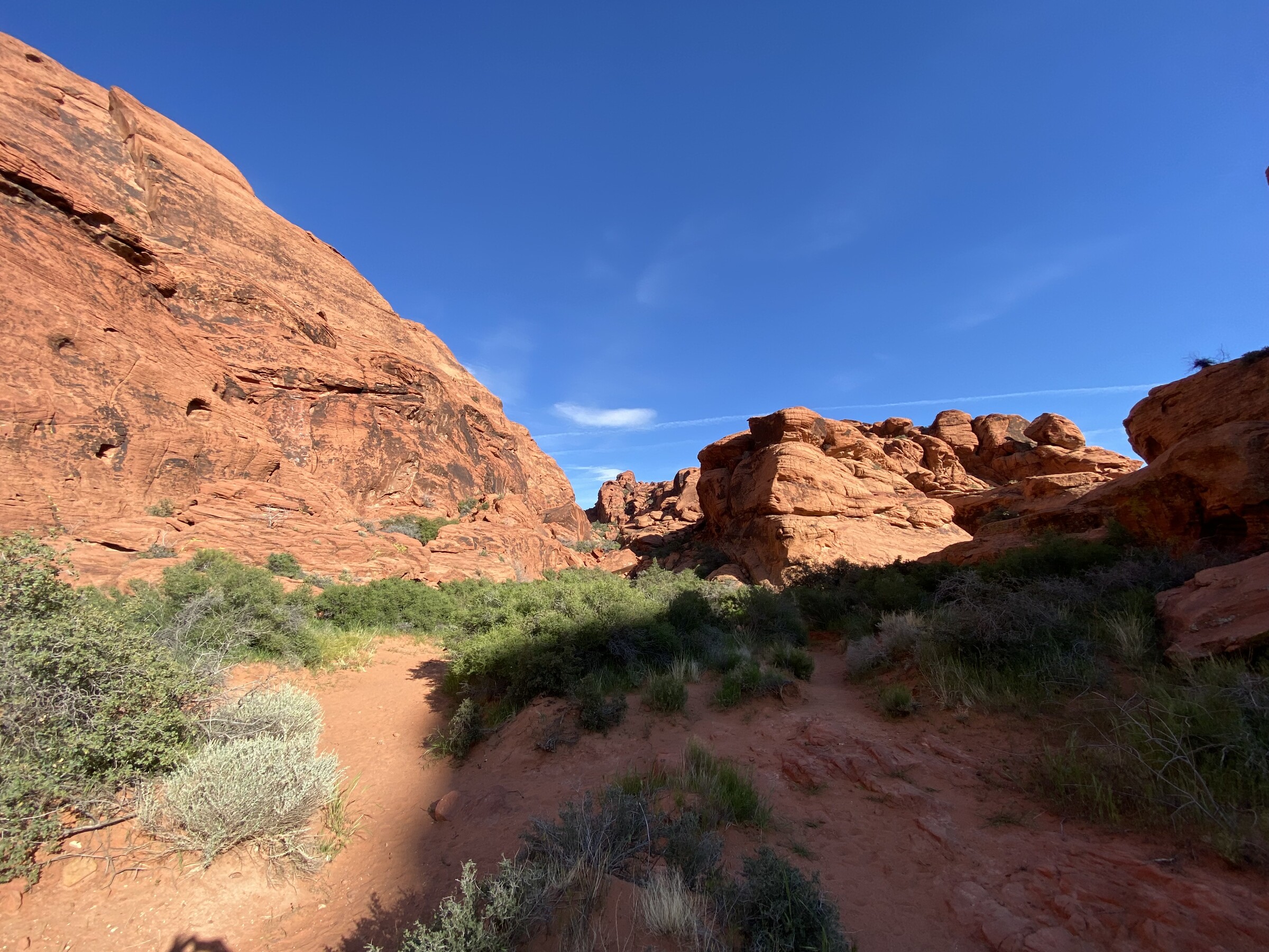 Red Rock Canyon National Conservation Area, Nevada